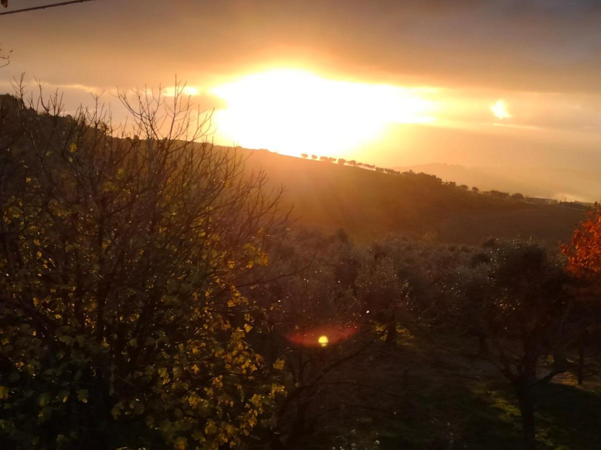 Bed and Breakfast Casale Del Tempo Lento Narni Exterior foto